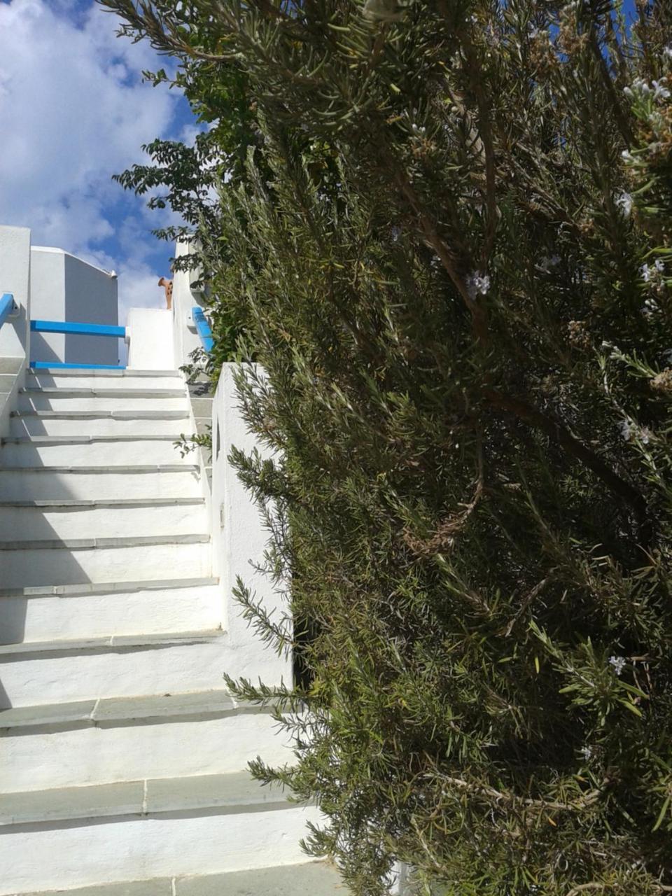 Smaragda Rooms & Studios Platis Gialos  Esterno foto